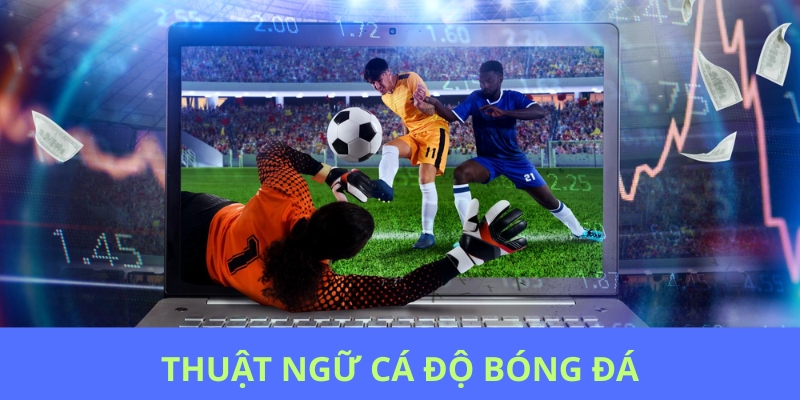 Câu hỏi thường gặp vè thuật ngữ cá độ bóng đá