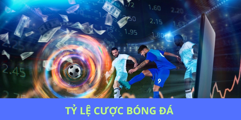 Câu hỏi thường gặp về tỷ lệ cược