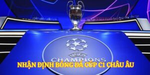 Vai trò của việc định bóng đá cúp C1 châu Âu